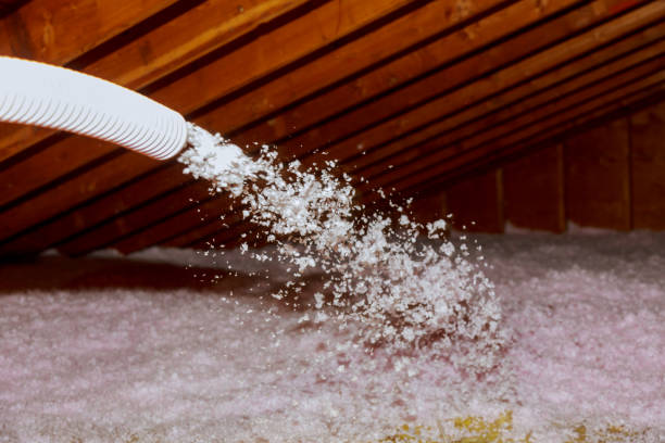 Best Insulation Installation Services in Raintree Plantation, MO