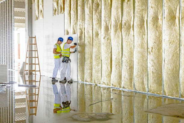 Best Types of Insulation in Raintree Plantation, MO